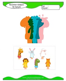 Gölgesi Olmayanı Bul Çalışma Sayfaları